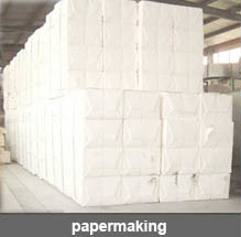 氢氧化钠(火碱) 氢氧化钠(火碱)