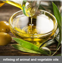 氢氧化钠(火碱) 氢氧化钠(火碱)