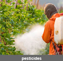 氢氧化钠(火碱) 氢氧化钠(火碱)